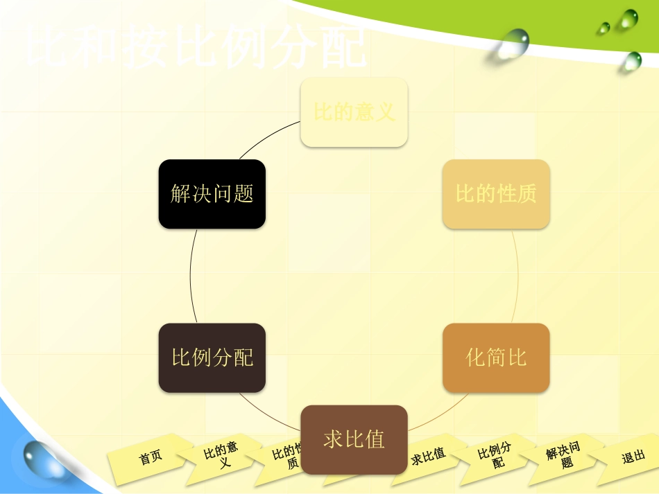 整理与复习(比和按比例分配)1121_第3页