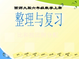 整理与复习(比和按比例分配)1121