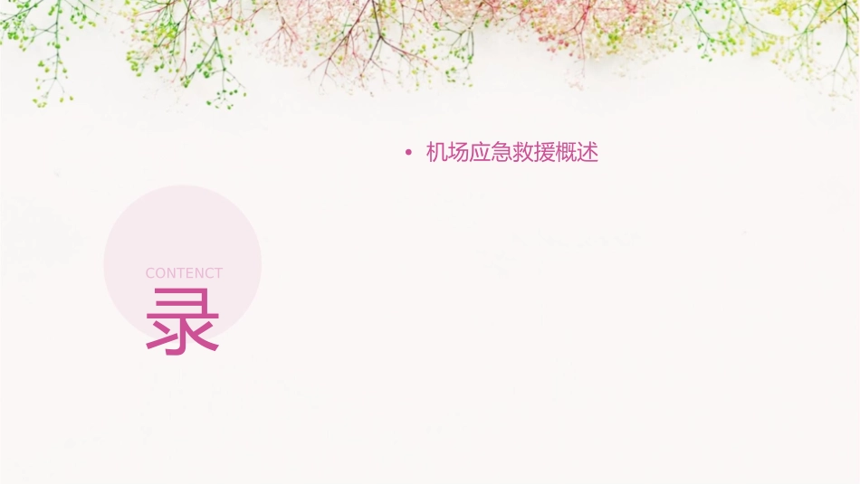 机场应急救援课件_第2页