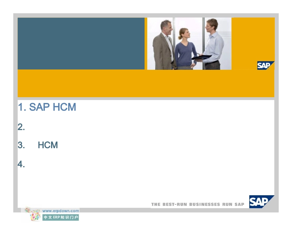 SAPERPHCM人力资本管理-可视化再现_第2页