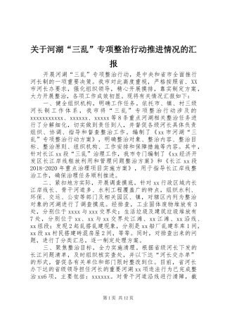 关于河湖“三乱”专项整治行动推进情况的汇报
