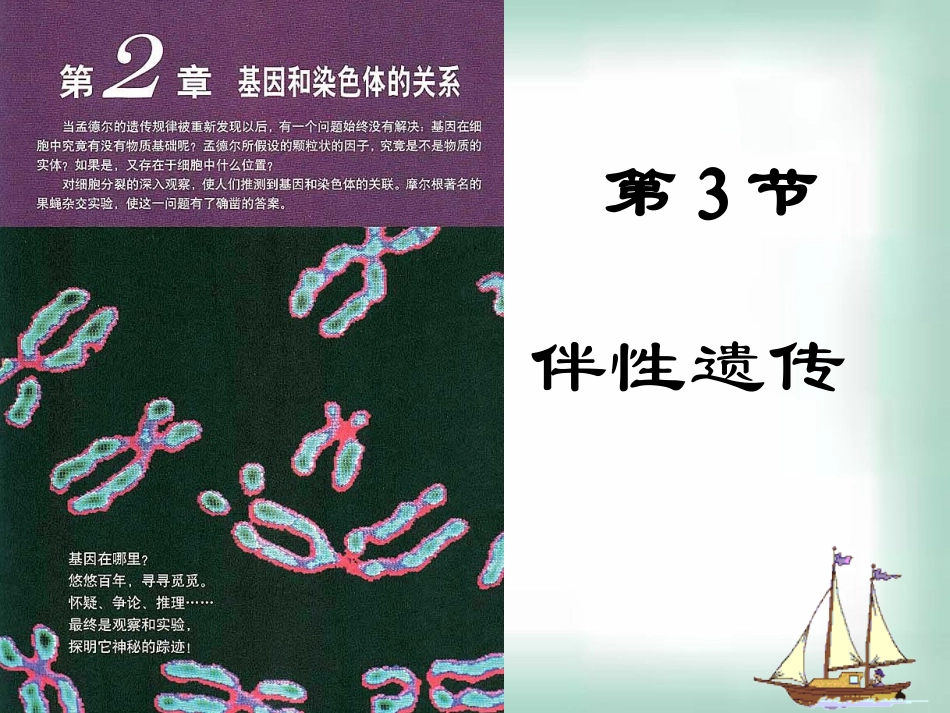 高中生物《23伴性遗传》课件新人教版必修2_第1页