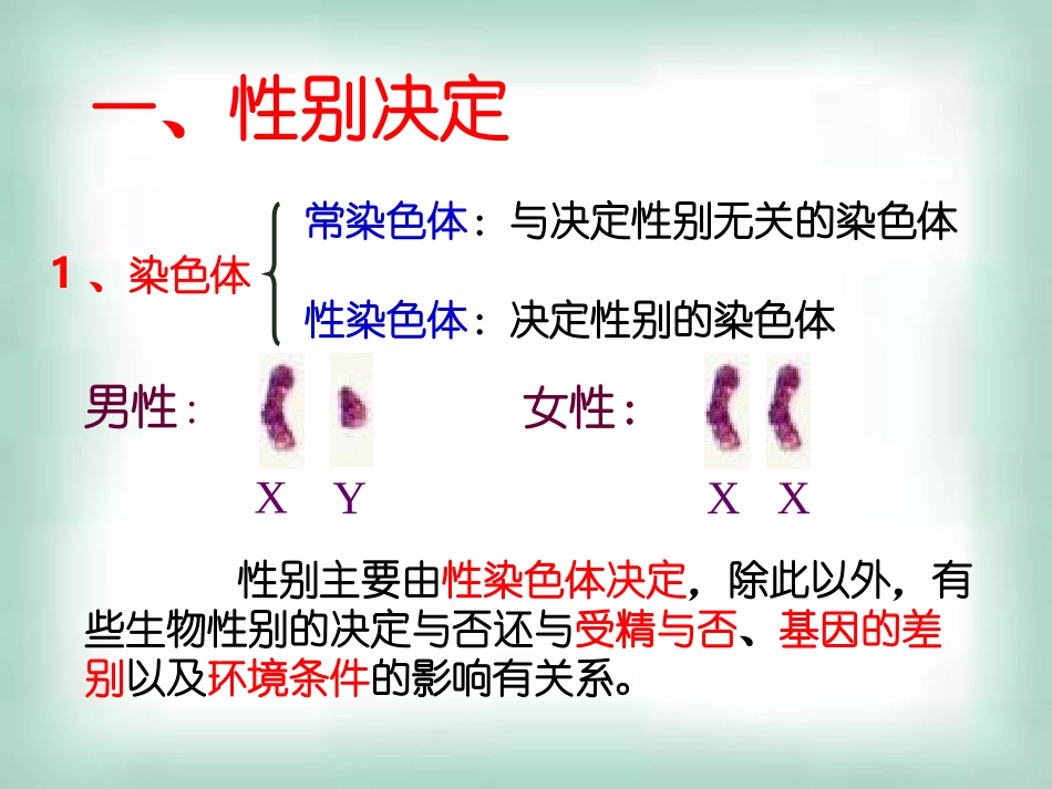 高中生物《23伴性遗传》课件新人教版必修2_第2页
