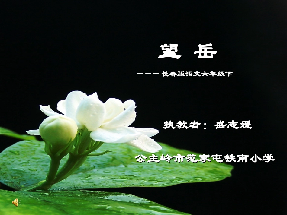 望岳课件盛志媛_第1页