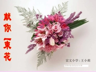 献你一束鲜花(宏文小学王小莉)