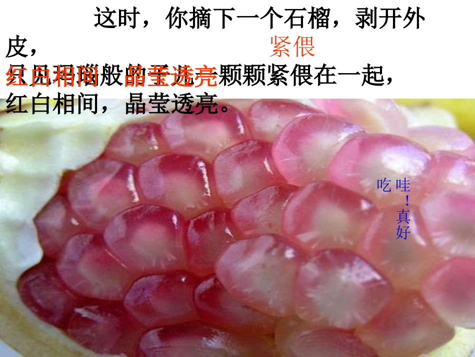 苏教版三年级上册微型课《石榴》PPT课件_第3页