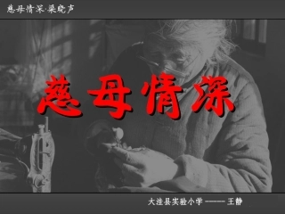 慈母情深（图片好）