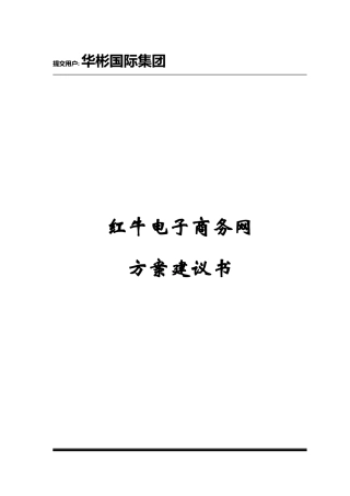 红牛电子饮料商务网方案建议书