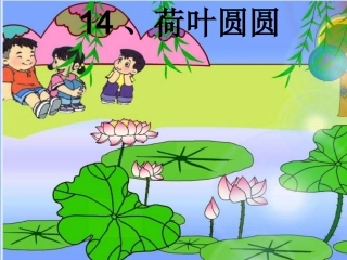 《荷叶圆圆》课件