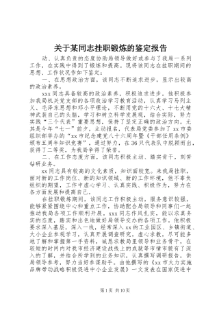 关于某同志挂职锻炼的鉴定报告