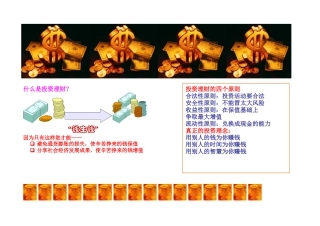 投资者分为那几种主要类型