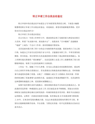 转正申请工作自我总结鉴定