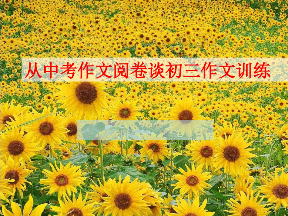 从中考作文阅卷谈初三作文训练_第1页