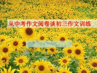 从中考作文阅卷谈初三作文训练