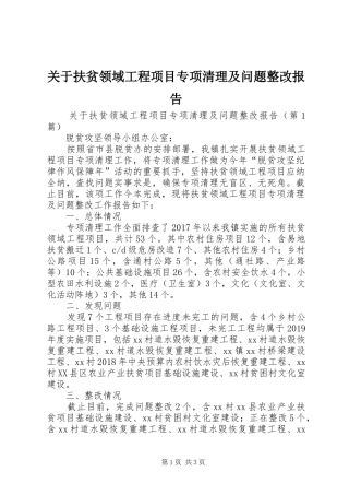 关于扶贫领域工程项目专项清理及问题整改报告