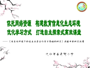 南街小学汇报