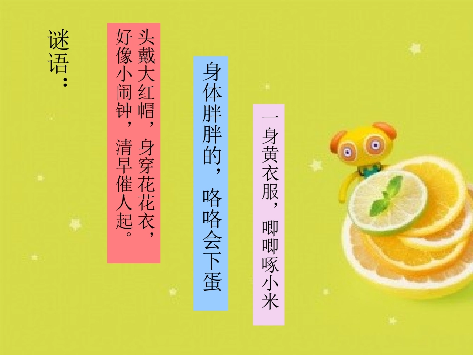 小鸡的一家讲课_第3页