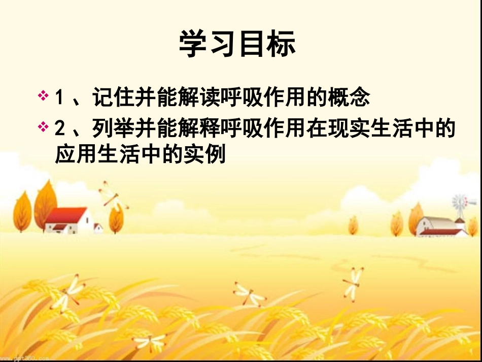 绿色植物的呼吸作用_第2页