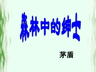森林中的绅士（闫丽娟）