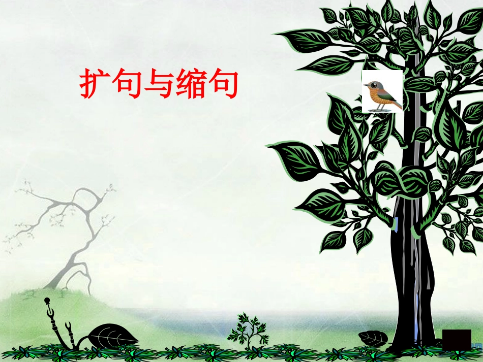 缩句、扩句复习课件1_第1页