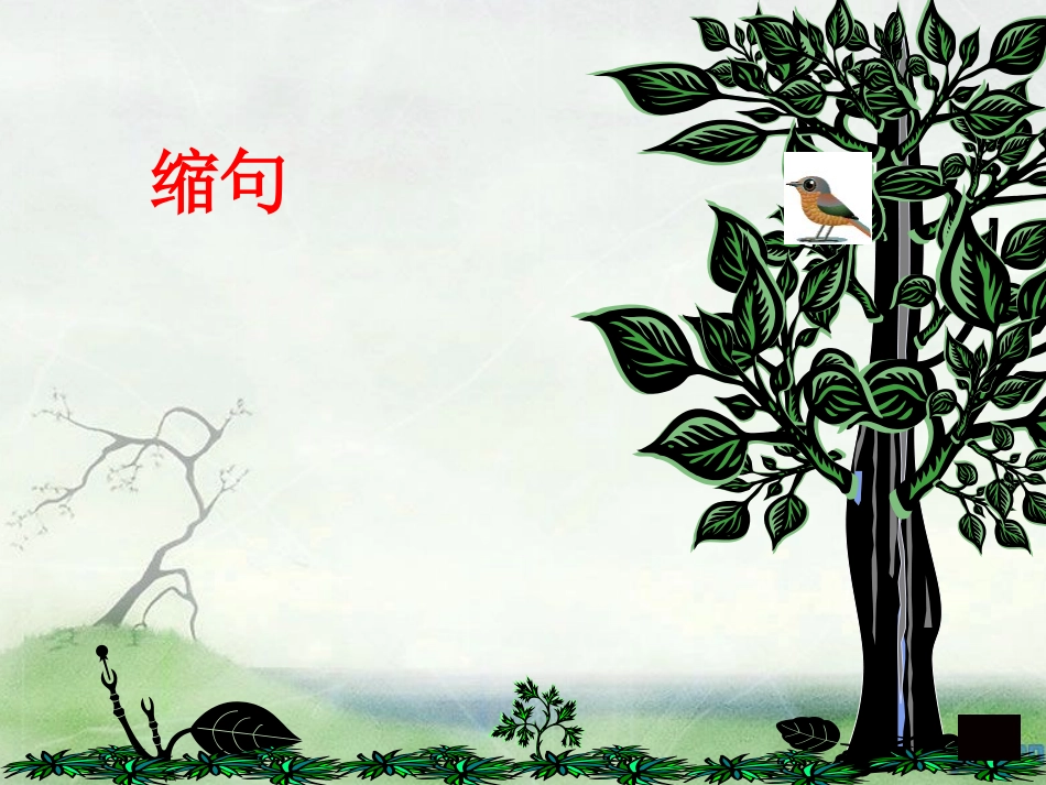 缩句、扩句复习课件1_第2页