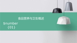 食品营养与卫生概述修改课件