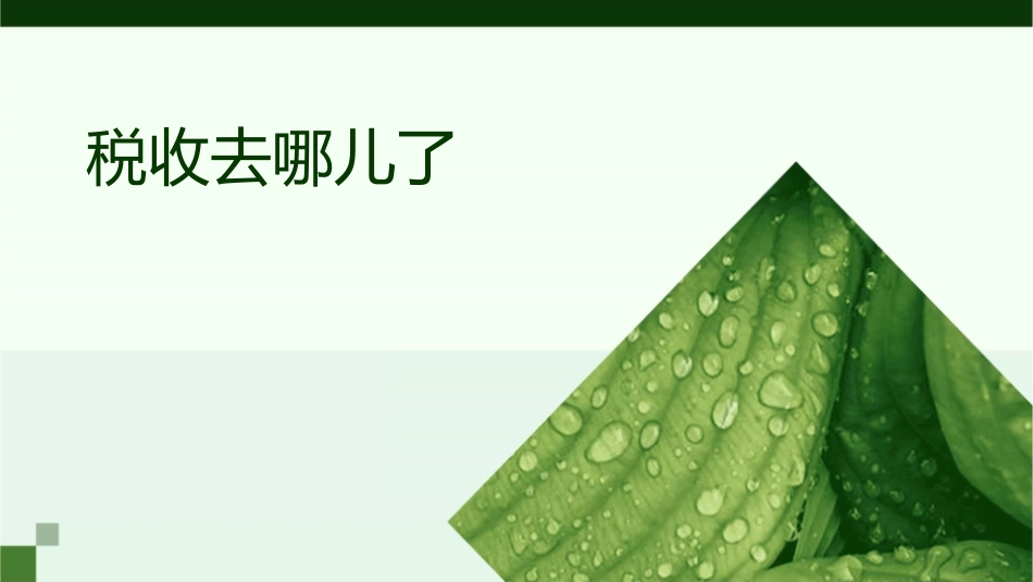 税收去哪儿了课件_第1页