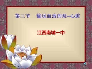输送血液的泵