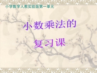 人教版五年级数学__2011小数乘法复习课第1课时