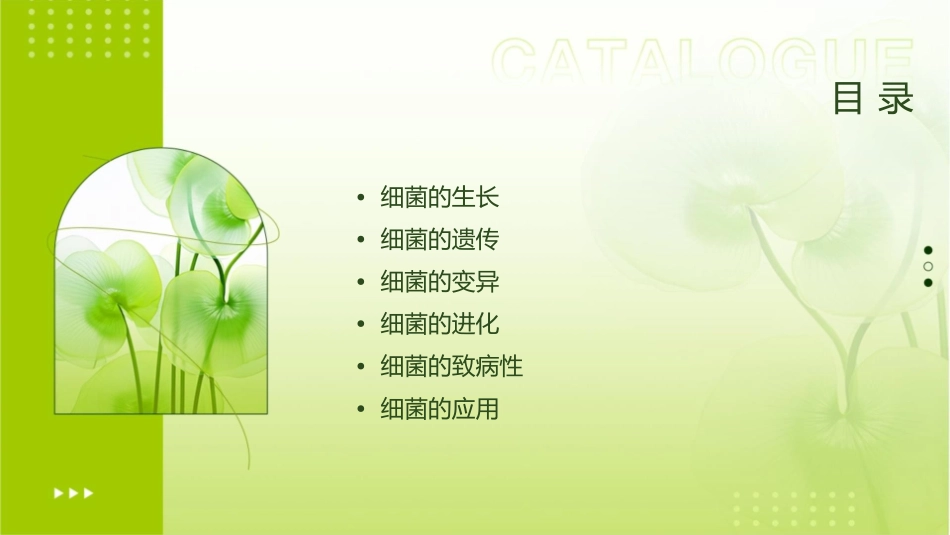 细菌的生长和遗传变异课件_第2页