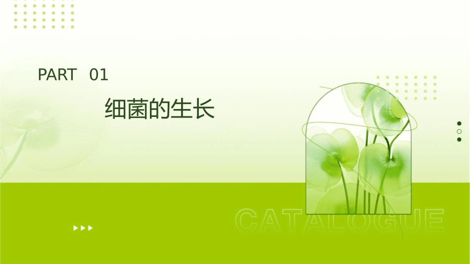 细菌的生长和遗传变异课件_第3页
