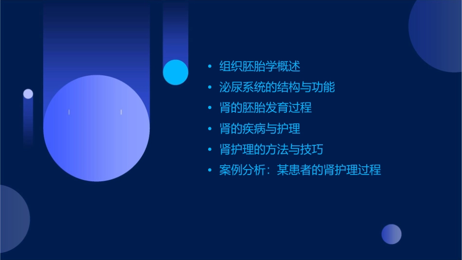 组织胚胎学 泌尿系统肾护理课件_第2页