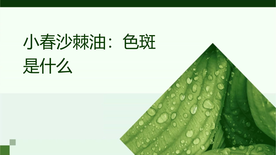 小春沙棘油：色斑是什么课件_第1页