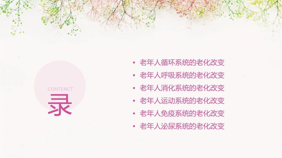 老年人各系统的老化改变(缺神经系统)课件_第2页