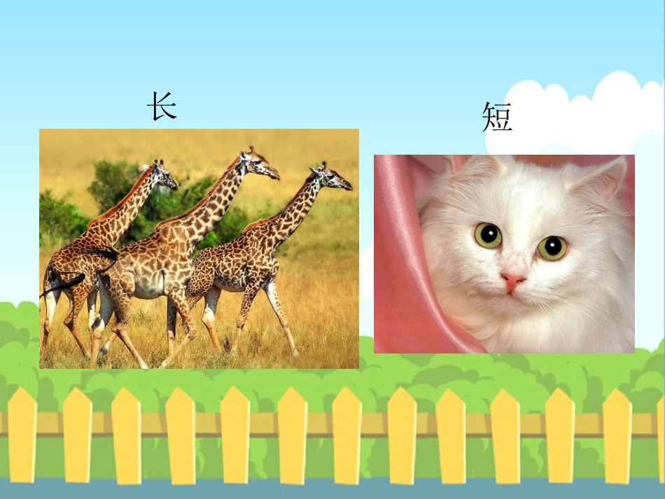 对对歌_生字词学习_第3页