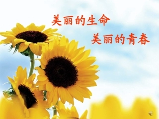 美丽的生命，美丽的青春