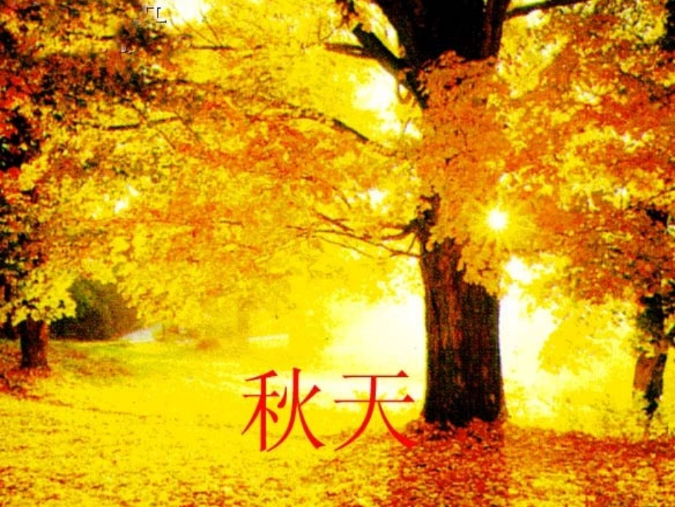 美丽的小兴安岭第二课时_第3页