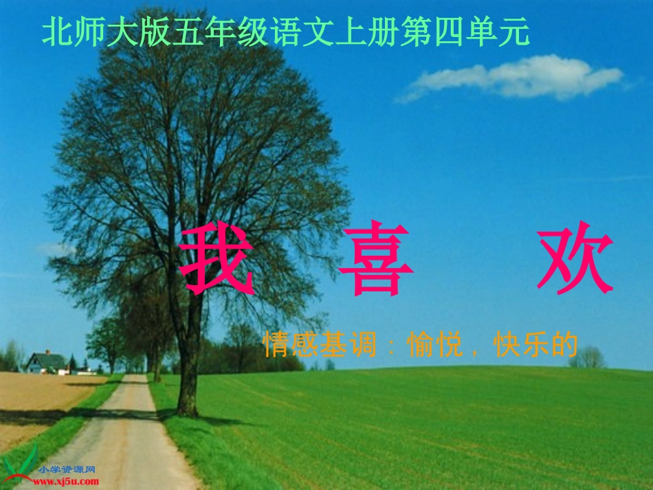 北师大版五年级语文上册《我喜欢》PPT课件_第1页