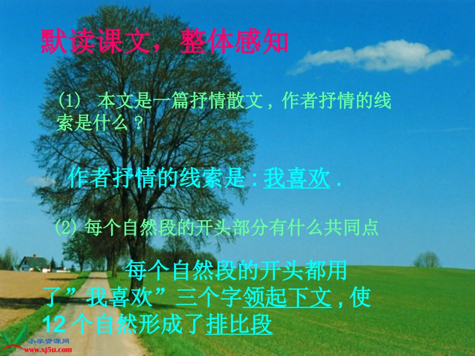 北师大版五年级语文上册《我喜欢》PPT课件_第2页