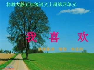 北师大版五年级语文上册《我喜欢》PPT课件