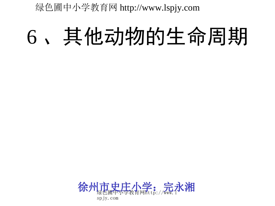 其他动物的生命周期PPt_第1页