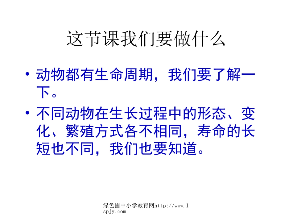 其他动物的生命周期PPt_第2页