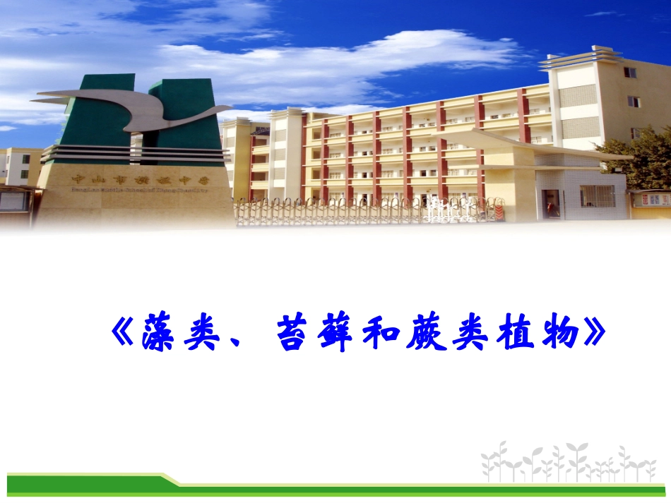 藻类、苔藓和蕨类植物7_第1页