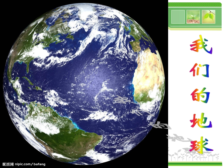藻类、苔藓和蕨类植物7_第2页
