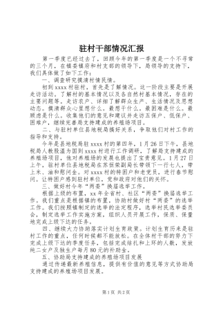 驻村干部情况汇报