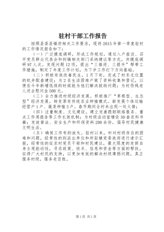 驻村干部工作报告