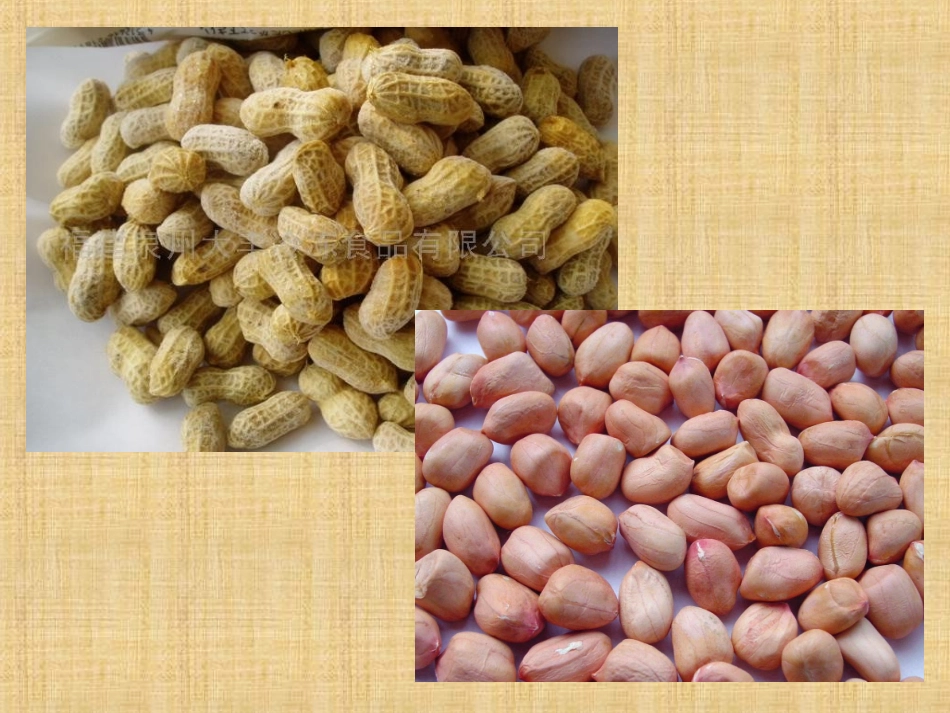 落花生课件 (2)_第1页