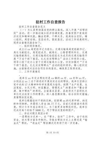 驻村工作自查报告