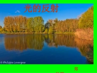 教学课件_光的反射PPT[1]