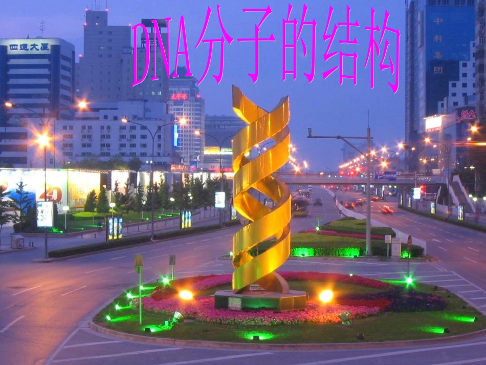 高中生物《32DNA分子的结构》课件新人教版必修2_第2页